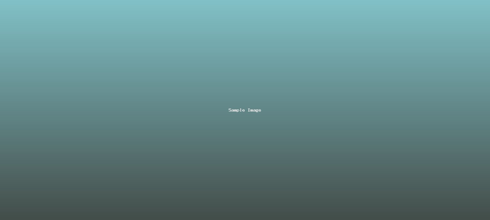 sample-image-861.jpg
